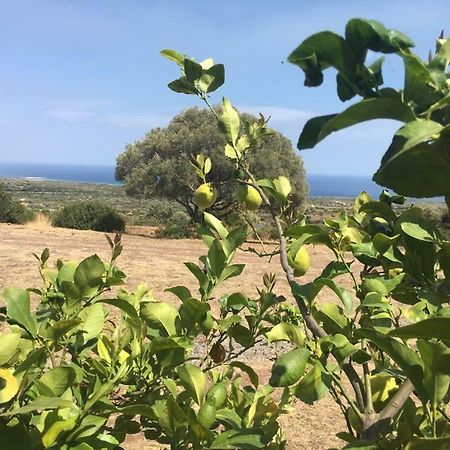 Agriturismo Su Nuragheddu Villa Galtellì Buitenkant foto