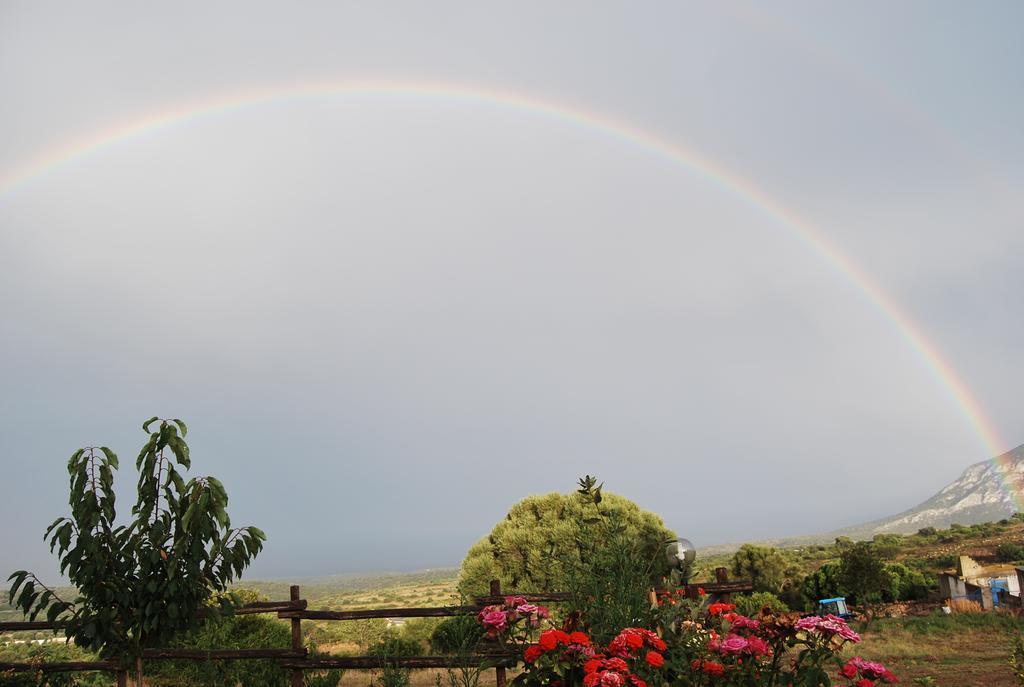 Agriturismo Su Nuragheddu Villa Galtellì Buitenkant foto